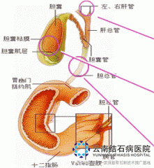 1-12050314410bL.jpg
