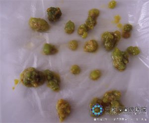 70-120521154H05V.JPG