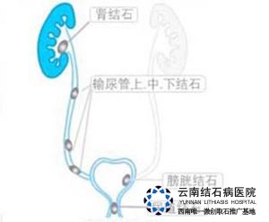 69-1210121K04JW.jpg