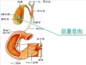 90-150205161100S8.jpg
