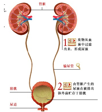 90-15020F950495N.png